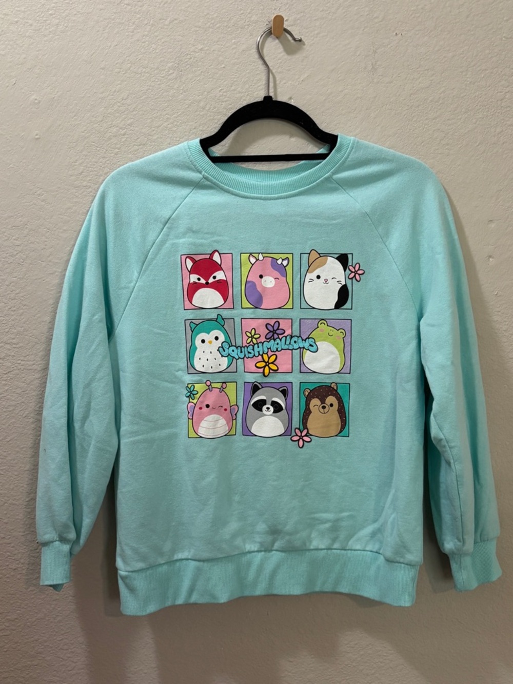 Squishmallows Mint Green Graphic Sweatshirt XL (14-16)